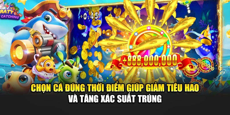 Chọn cá đúng thời điểm giúp giảm tiêu hao và tăng xác suất trúng