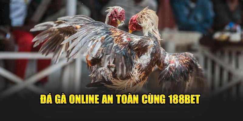 Đá Gà Online An Toàn Và Thú Vị Cùng Nhà Cái 188Bet 1 Đá gà online an toàn cùng 188Bet