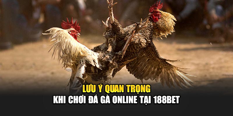 Đá Gà Online An Toàn Và Thú Vị Cùng Nhà Cái 188Bet 3 Lưu ý quan trọng khi chơi đá gà online tại 188Bet